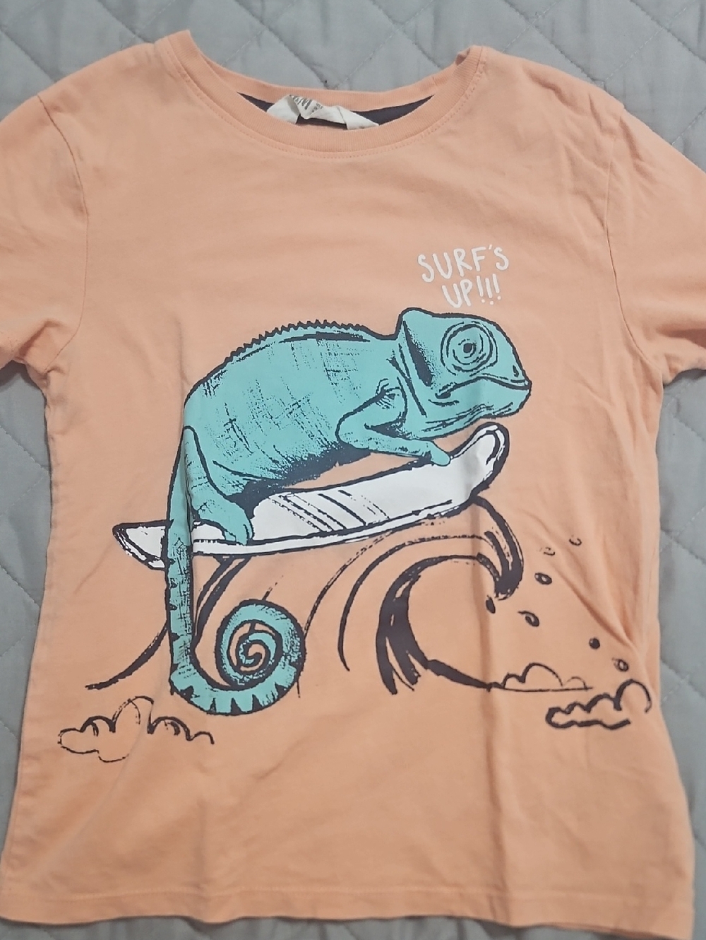 H&M Kids Peach Graphic Surf Chameleon Tee